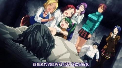 受胎岛在线视频播放,揭秘神秘岛屿的神秘力量与神秘传说