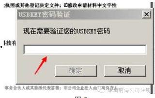 在线视频 公司注册流程,公司注册流程全解析