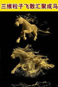 人与马高清在线视频,高清视频中的自然和谐画卷