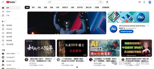 欧美在线视频网址一二,欧美热门在线视频网站一网打尽  第2张