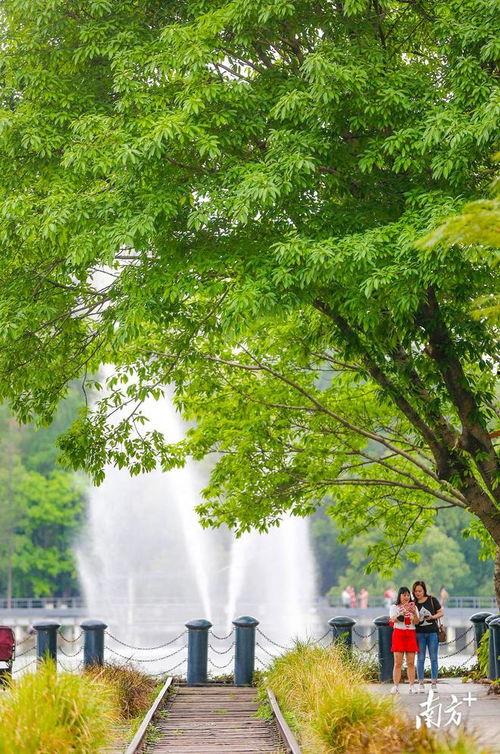 绿意盎然在线视频播放