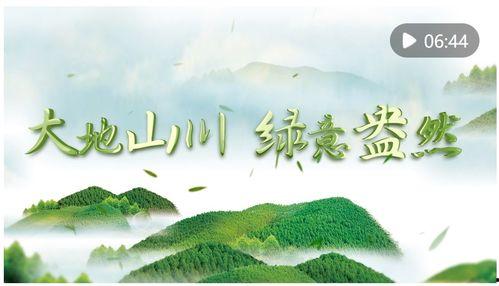 绿意盎然在线视频播放  第2张