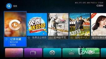 51精品在线视频免费,畅享免费观影新体验